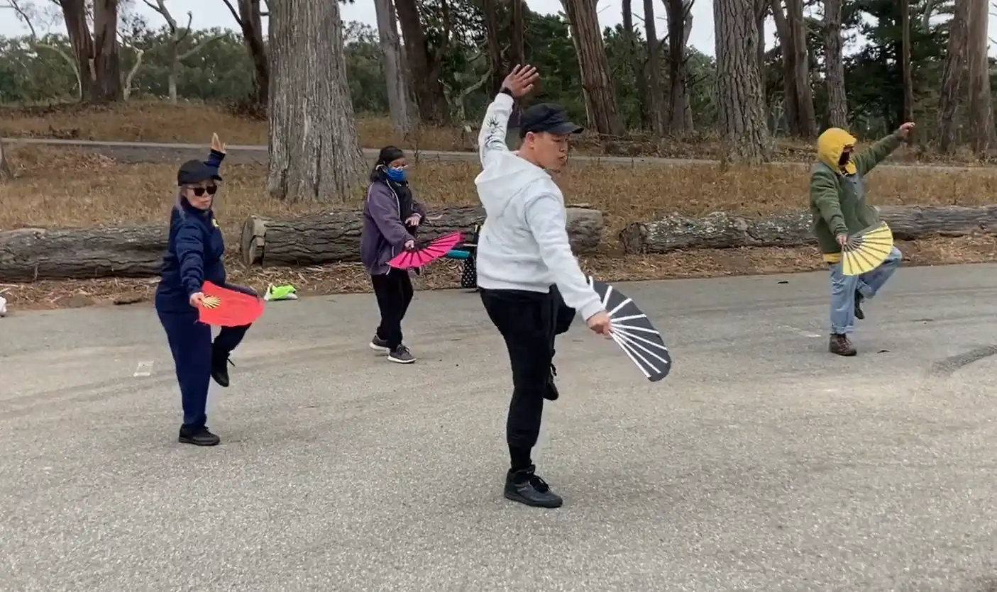 Taiji Bagua Fan