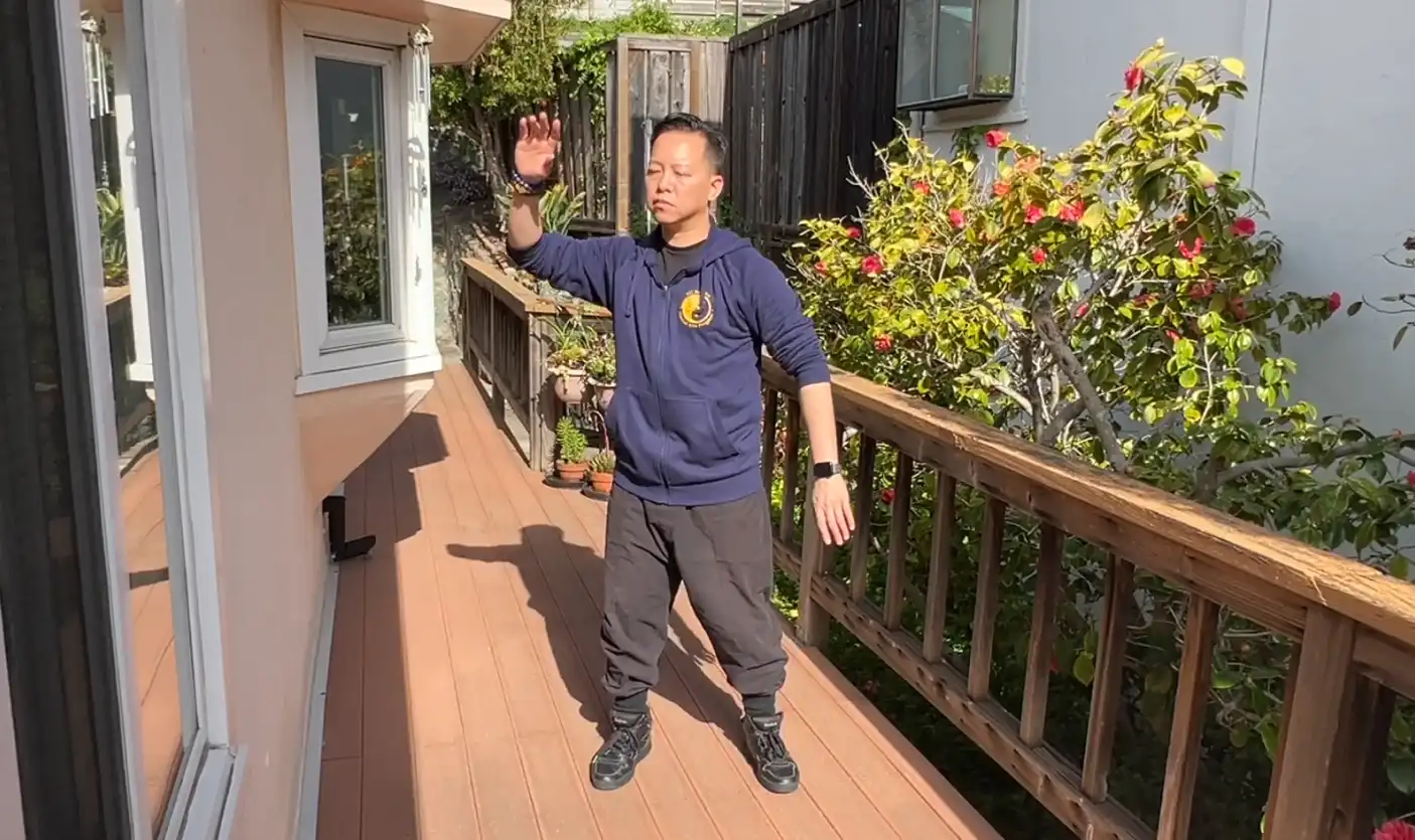 Yang Style Stationary Taiji Qigong